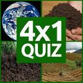 4×1 Picture Quiz