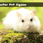 Hamster Pet Jigsaw